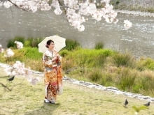 着物フォト📷春のロケ撮影🌸京都鴨川にて【鯖江市 振袖・袴・着物のレンタル販売 はんなり屋】