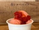 〜　gelateria villettaより　〜