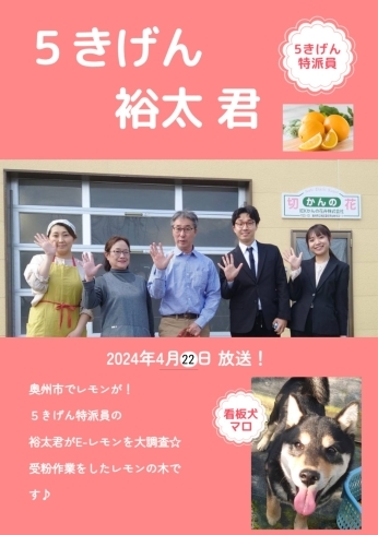 「4/22放送です！E-レモン☆５きげんTV特派員「裕太君」が調査にキター！」