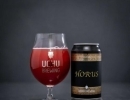 【宇宙（世界観）が変わる！】うちゅうブルーイング　HORUS【矢島酒店｜馬込沢・塚田・新船橋・船橋駅・鎌ヶ谷・東武線エリアの酒屋】