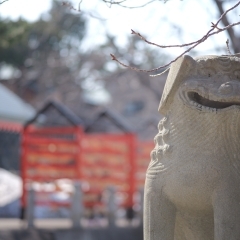 2024花手水のお知らせ✉️