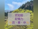 脳腫瘍の術後の後遺症や物忘れ、認知症がそれぞれ改善中！[福島県福島市の漢方薬局]