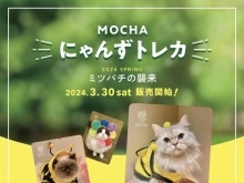 MOCHAにゃんずトレカ販売開始❗️【宮崎ナナイロ(メガドンキ)にある猫カフェ・漫画・ドリンクバー・ワークプレイス】