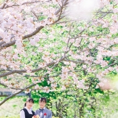 八重桜が満開です！【江戸川区でこども・ファミリーの出張撮影をしています】