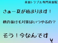 頭皮も季節でケアーを考えませんか？