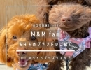 M&M fam【おすすめブランドのご紹介】