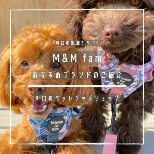 「M&M fam【おすすめブランドのご紹介】」