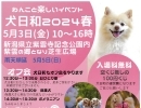 わんこと楽しい一日を！『犬日和2024春』5月3日（金）開催！【新発田】