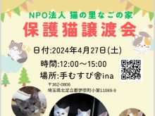 伊奈町で保護猫譲渡会開催します