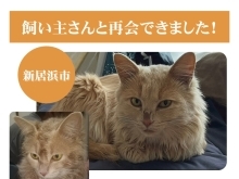 【無事再会！】新居浜市大生院で迷子になった猫のりんくん。飼い主さんと再会できました！