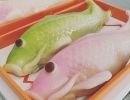5月5日こどもの日🎏　初節句・内祝い・鯉菓子・端午の節句のお菓子承ります！