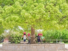 大きなくりの〜木の下で〜　京都保育園　活動の様子