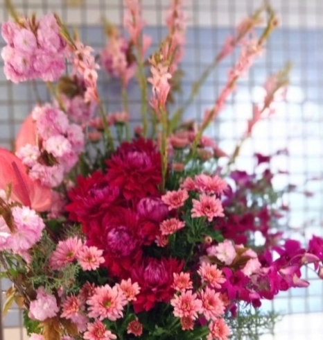 同系色のかわいらしく華やかな印象「お祝い花」