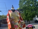 花嫁打掛から祭りの鯉口シャツを！