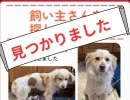 茨城県石岡市迷子犬の飼い主さん見つかりました！
