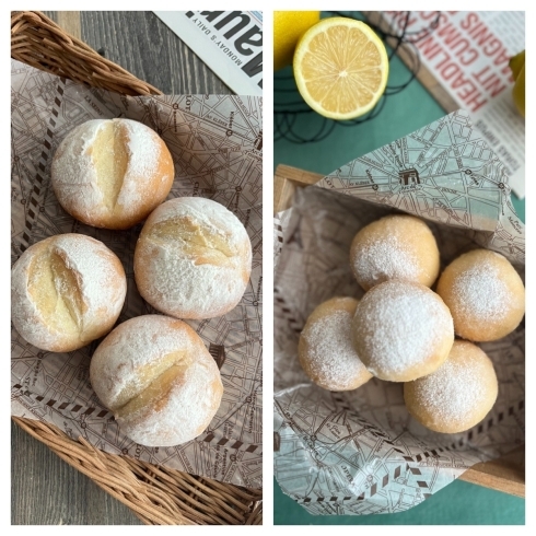 「丸パン」&「レモンパン」「【5月】初めてのパン作り 《丸パン&レモンパン》」