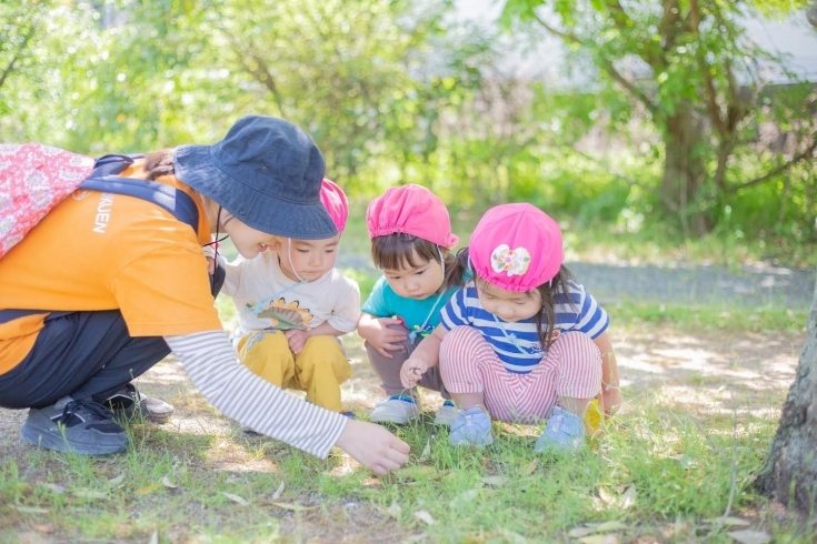 「春を見つけに　京都保育園　活動の様子」