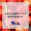 令和6年度さくらんぼ狩りプラン中止*ﾟ | 日帰り温泉 聖籠観音の湯 ざぶ～ん館のニュース | まいぷれ[新発田・胎内・聖籠]