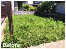 神戸市北区でお庭の草刈りをしました！