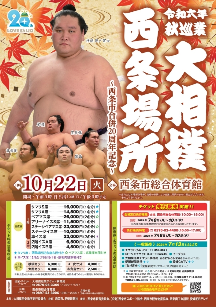 大相撲巡業 西尾場所 チケット 1名分 2019.4.7（日） 西尾市総合体育館 タマリ