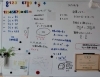 理科510】未来をひらく 小学理科5 [令和6年度] 文部科学省検定済