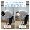 【腰痛施術必見】   長岡式 「腰痛•坐骨神経痛」 完全攻略テクニック 長岡式「腰痛・坐骨神経痛」完全政略テクニック 長岡隆志 DVD