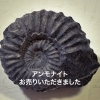 image.php?id=2147786730&p=