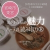 なんで分かるの！？占い🔮？ハーブ🌿？【宮崎 おかま直伝 よもぎ蒸し