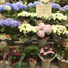 image.php?id=2147870140&p=