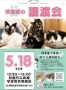 大人兵児帯　猫ねこネコ大集合　ゴブランジャガードの長尺兵児帯 生地 ゴブランジャガード ネコ柄 140cm幅×150cm 1枚入（65555-1
