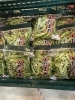 枝豆始まりました！【就労継続支援B型 送迎あり 昼食あり】 | 就労継続