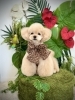 ジャングルジャングル🦁＆スタッフ募集のお知らせ | MARSHMALLOW・DOG