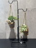 吊り下げ式プランター×観葉植物—新作インテリアオブジェが入荷しました