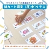教議会の座席/英語版/foil/4枚セット 教議会の座席 Seat of the Synod 英語版FOIL4枚セット 教議会の