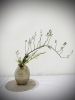 池坊　自由花　花器 image.php?id=2147953301&p=