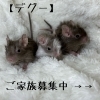 桃の子供 福島県産のお楽しみ桃ジュースセット「桃の恵み」と「黄金桃