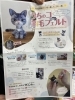 【受注製作お問い合わせ専用】羊毛フェルトペット 鼻先〜お尻まで約13cm強サイズ 受注製作お問い合わせ専用】羊毛フェルトペット 鼻先〜お尻まで