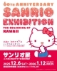 【世界に2個】ハローキティ60周年記念コラボ 新居浜市美術館 開館10周年記念展Ⅳ 「サンリオ展 ニッポンのカワイイ