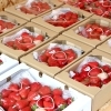 直売所のいちご箱🍓】いろいろな味わいをお楽しみください。 | 奥山