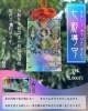 大津三十八不動尊オリジナル、七色に輝く透明なアクリルお守りを意匠