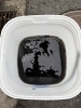 image.php?id=2148045905&p=