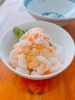 海老卵小鉢丼「12/28 Today’s Special 海老卵小鉢丼 日替わり おすすめ 【年内30(火)昼まで/年明け4(日)より】」