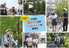 ⚠️もうすぐ締切🚲【葛飾区自転車ヘルメット補助金】最大3,000円助成