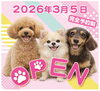 3月5日オープン！ドッグサロンプリールです【長野県木曽郡木曽町で小型