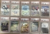 X開設！更新中！】茨城県でポケモンカードのPSA鑑定品を売るなら買取