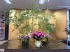 假屋崎省吾さんの花の特別展示開催中【18日（月）まで】 | きもの処た