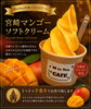 マンゴー様おまとめセット PP8クリーム2個 MtoYou名物！宮崎マンゴーソフトクリーム 🥭✨ | M to You のニュース