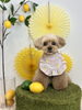 もこわんこ わんことレモン🍋 | MARSHMALLOW・DOG（マシュマロ ドッグ）のニュース
