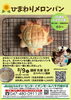 夏休み1日講座「ひまわりメロンパン」を作ろう！ | JEUGIAカルチャー