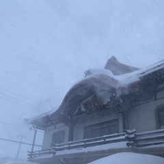 【大雪警報】光明寺へのお参りを停止いたします。